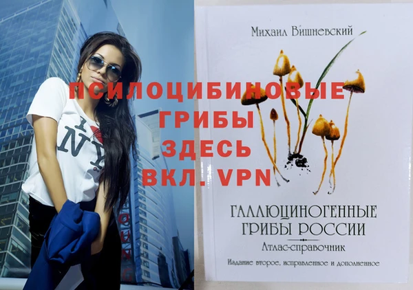 гидропоника Осинники