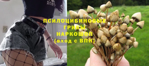соль ск Наволоки